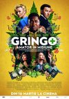 Gringo: Amator în misiune (2018)