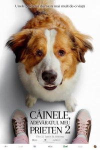 ,,Câinele, adevăratul meu prieten 2” așteaptă iubitorii de animale în cinematografe din 21 iunie